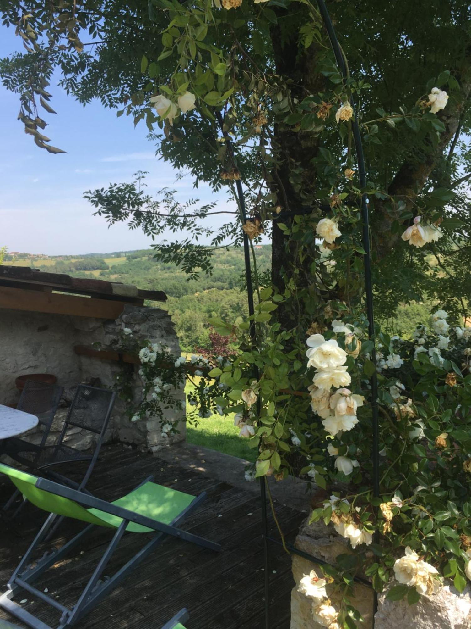 Le Mas Des Papillons Fargues  Exterior foto