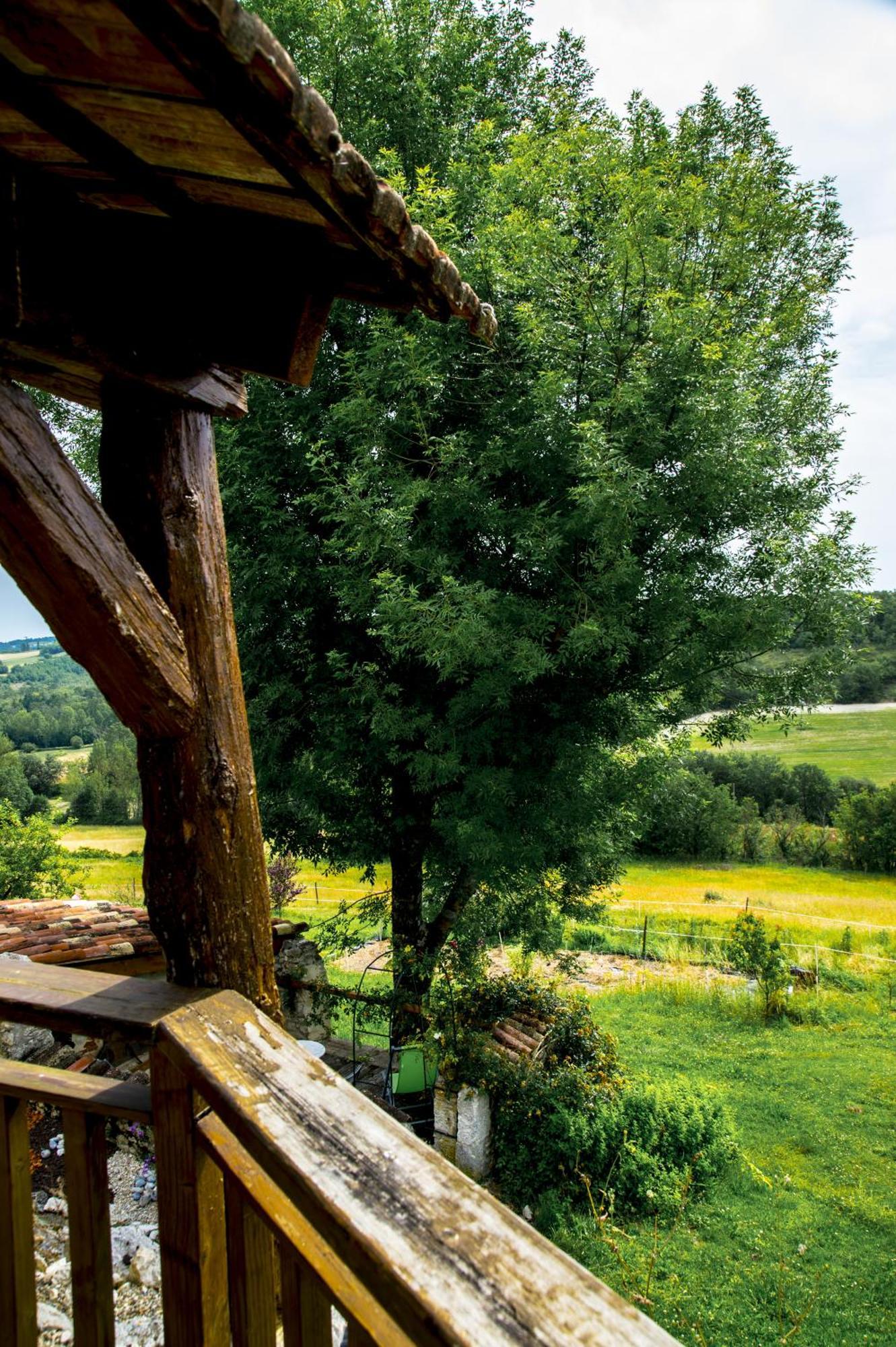 Le Mas Des Papillons Fargues  Exterior foto