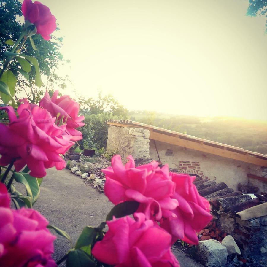 Le Mas Des Papillons Fargues  Exterior foto