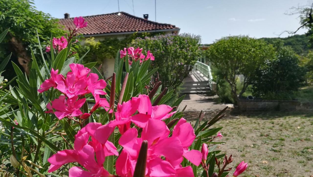 Le Mas Des Papillons Fargues  Exterior foto